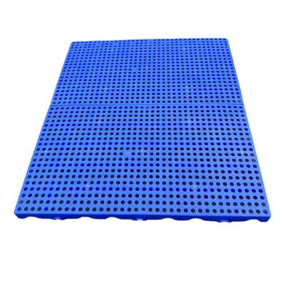 China 500*500*50MM Single Faced Plastic Chicken Slat Floor Chicken Equipment Poultry Slat Flooring Poultry Slat for sale