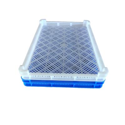 China Recyclable Plastic Dry Tray Box Fruit Dry Fruit Tray Fruit Serving Tray for sale