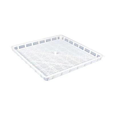 China 810*595*70MM Mesh Plastic Tray Dry Ice Tray Pasta Drying Tray for sale