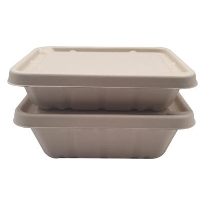 China Biodegradable Eco Friendly Disposable Square Bagasse Packing Bento Lunch Boxes Deep Price Surprise Box for sale