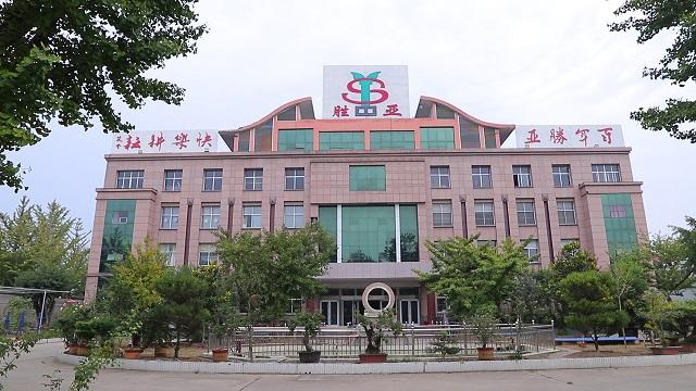 Verified China supplier - Shandong Shengya Machinery Co., Ltd.