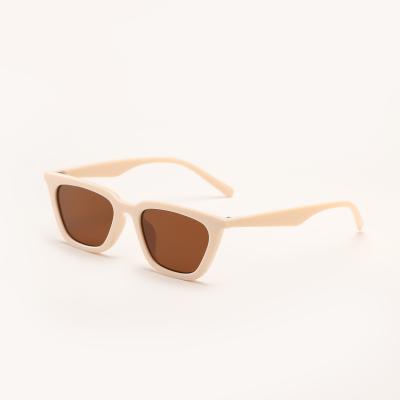 China Trendy Square Cat Eye Sunglasses Vintage Cateye Sunglasses Women Fashion Sunglasses for sale