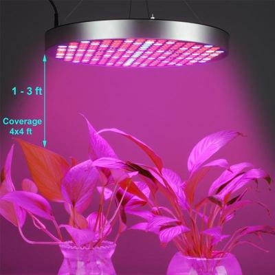 China Seed Starting 50W Flower Plant Growth Light Full Spectrum Phyto Hydroponic Indoor Greenhouse Grow Vegetables And Flowering LedPlant Lamp for sale