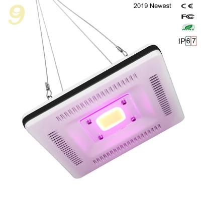 중국 2019 Hot New Product Growing Fruit Vegetable Greenhouse Flower Lights On Amazon 50W Led Grow Light Full Spectrum Cob 판매용