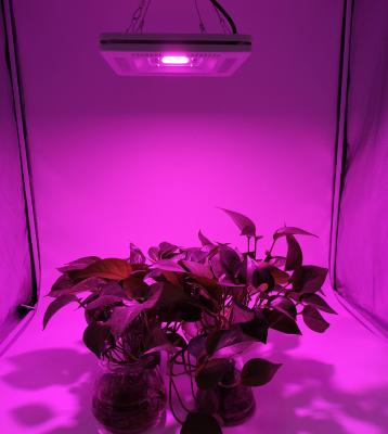 Κίνα Seed Starting LED Light Indoor Hydroponic Plant Growing Greenhouse Flowers Vegetable Greenhouse Vegetables Plant προς πώληση