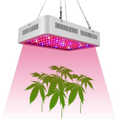 Κίνα Vegetable Greenhouse & 600w Aquarium Green House Led Plant Grow Light Full Spectrum For Vegetables Hydroponic Light προς πώληση