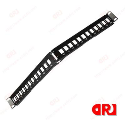 China Patch Management Subsystem 24 port Rj45 Rack Mount patch panel with Dual IDC , 45 degree for sale