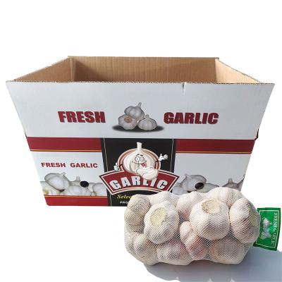 China 2021 fresh new crop natural fresh white garlic price for sale