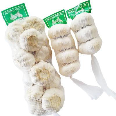 China Thick luminous skin pure fresh garlic for sale