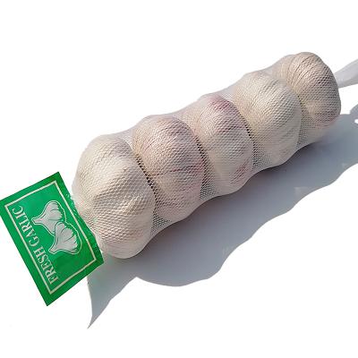 China 500g Thick Skin Bright Natural White Garlic Red Garlic (5.0cm, 5.5cm, 6.0cm) for sale