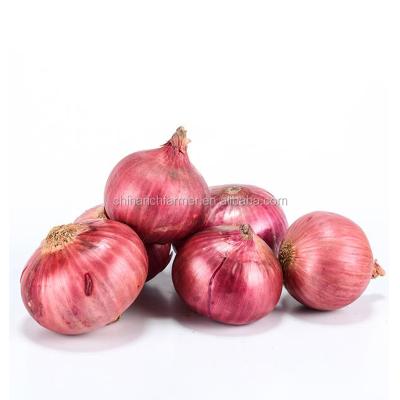 China Fresh onion fresh export red onion and cultivation of new yellow onion for sale