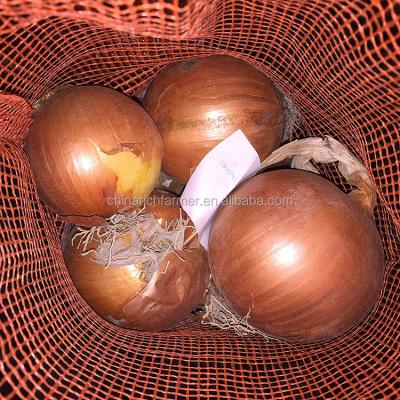 China 2020 FRESH ONIONS/RED ONIONS BUYERS FRESH ONIONS/YELLOW for sale