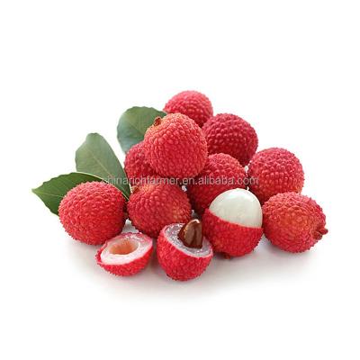 China Fresh Hot Selling Citrus Fresh Sweet Lychee/Lychee/Lychee for sale