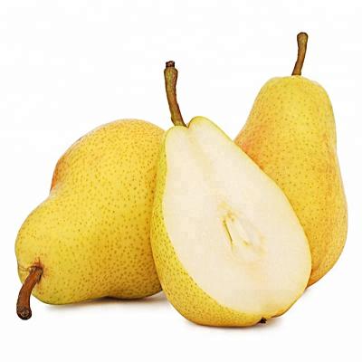 China Ya pears super sweet fresh fresh fruit for sale