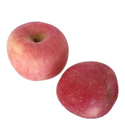 China China Fresh Hot Selling Organic Fruits Bulk Wholesale Fresh Apples for sale