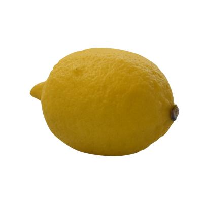 China High Good Farm Nutritious Best Price Citrus Fresh Lemon Wholesale for sale