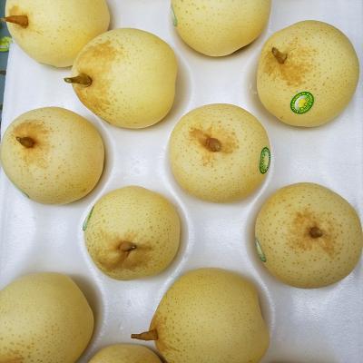 China China Fresh High Quality Fresh Fruit Nutrition Crown Pear Sweet Ya Pear for sale