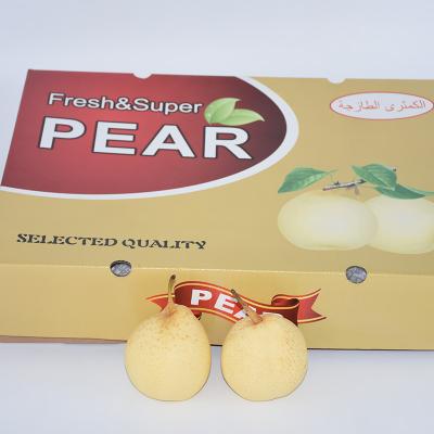 China Supply fresh chinese fresh fruit golden crown pear for sale