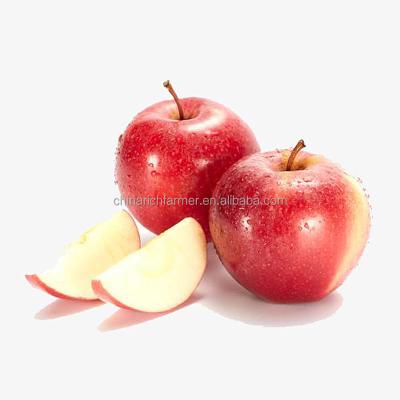 China China Fresh Fruit Fuji Apple 20kg Carton Fresh Market Price For Sale for sale