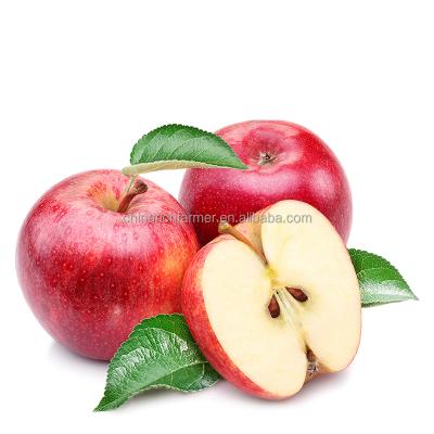 China China Fresh Sweet Fruit Red Fuji Apple Market Price For Sale for sale