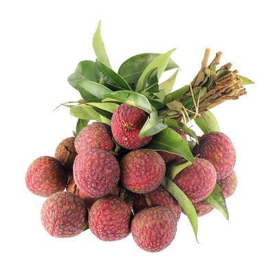 China Lychee/lychee/fresh sweet lychee for sale