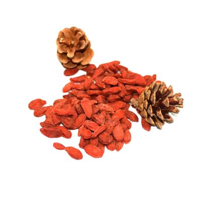 China Healthy Dried Black Berry Goji-Chinese Dried Goji 2021 for sale