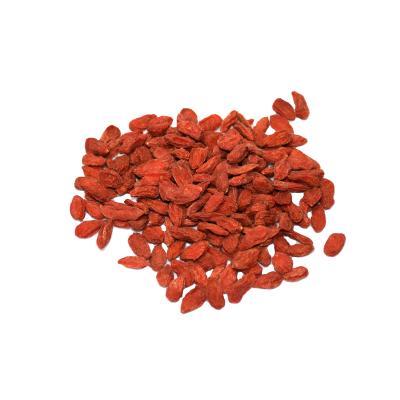 China 2021 New Hot Sale Dried Goji Berry Chinese Healthy Herbs Ningxia Goji For Sale for sale