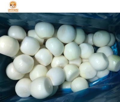 China 2021 high quality fresh peeled onion fresh from china wholesale price for sale