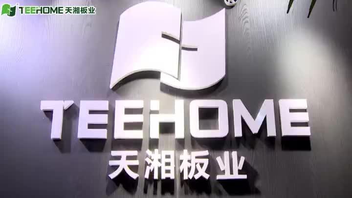 Verified China supplier - GUANGZHOU TEEHOME BOARD CO., LTD.