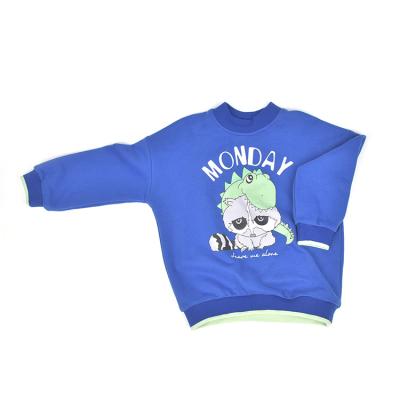 China Anti-Shrink All Over Cartoon Printed Sweatshirt Kids Boys Dinosaur Printed Pullover Children's Sweatshirt For Boys for sale