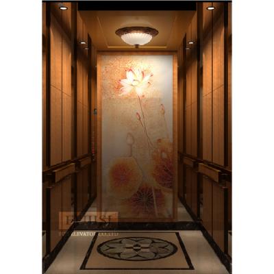 China Traditional High Quality Passenger Elevator Personnel Lift Elevator For Apartments Hotels Price for sale