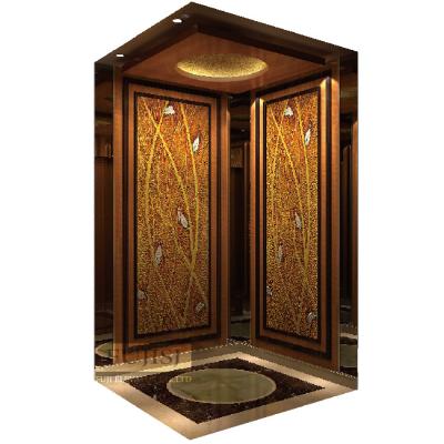 China Traditional Lift Passenger Elevator Personnel Lift Elevator Manufacturer Lift Home Elevator for sale