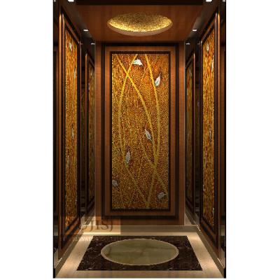 China Traditional Residential Commercial Passenger Elevator Lift With High Speed Home Elevator Price for sale