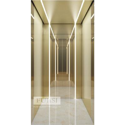 China Modern villa elevator Golden Luxury Ground Floor Machine Roomless Domestic Lift for sale