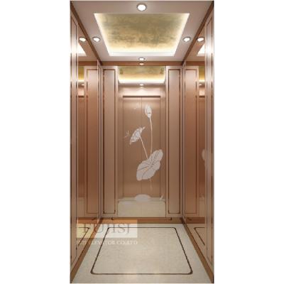 China Modern Rose Gold Luxury Car Household Elevator Series small home elevator for sale