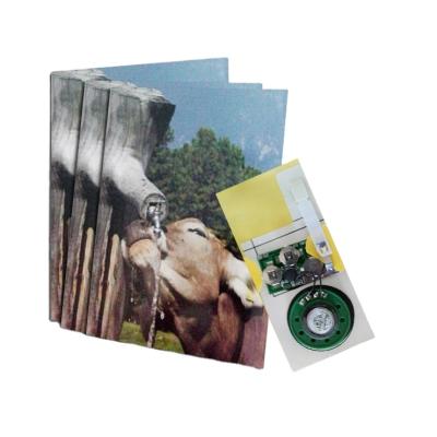 China Lightweight Programmable Sound Sensor Light Music Module Greeting Card Module Diameter 40mm for sale