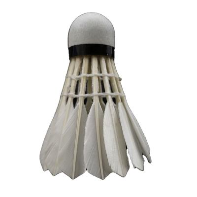 China DailyTrainning/competition professional eco-friendly carbon fiber stringed badminton shuttlecock goose goose badminton for sale