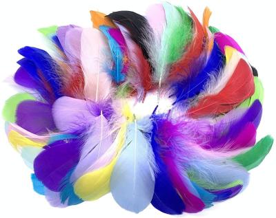 China Durable Decoration Feathers Colorful Feathers For DIY Craft Wedding Home Party Decorations for sale