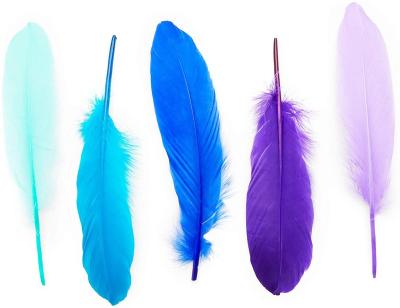 China Durable Natural Goose Feathers For Feather Jewelry Accessories Feather Wedding Home Crafts Feathers DIY Jewelry Decoration for sale