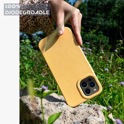 China 100% Biodegradable Biodegradable Eco-friendly Smart Phone Cases Biodegradable Burst-e Cell Phone Accessories For iPhone 13 Pro Max for sale