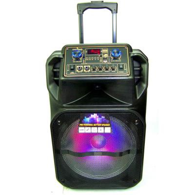 China Portable DJ Plastic Karaoke Speaker Outdoor Stereo Speaker With Digital Display for sale