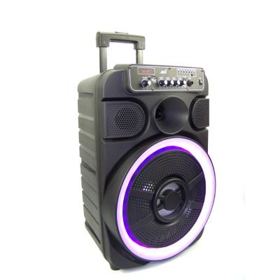 China Karaoke Radio Speakers Plastic Outdoor Portable Stage Speaker With Handle for sale