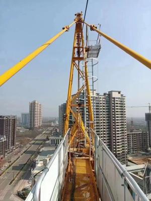 China Good Performance Car Type Tower Crane GS Certification Used Botham 2014 Year of Machine for sale