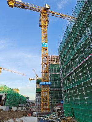 China Zoomlion construction tower cranes escort your construction site for sale