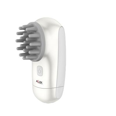 China 2021 Heads Massager Head DEEP CLEANING Cleansing Brush with 2 Head Massager Scalp Vibration Massager for sale