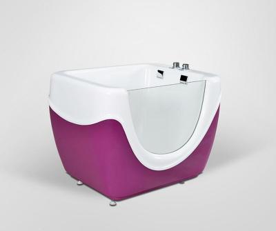 China Ten-year professional manufacturer of Eco-freindly bathtub/transparent bathtub/kids spa pool Te koop