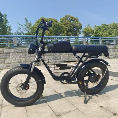 China Retro Style 750W1000w 1500w 3000w 48V Tire Electric Bike Dirt Bikes Retro Sport Bikes Super Cheap Electric Mountain Fat Bike 73 for sale