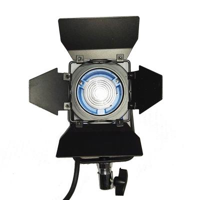 China Cheap Studio Price Photography Studio Light 150w/300w/500w/650w Emission Lighting Fresnels for sale