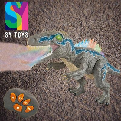 China RC Model SY Remote Control Walking Dino With Light And Sound Smog Spray RC Dinosaur Dinosaur Toy for sale