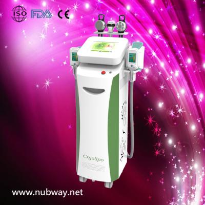 China Promotion-- five handles cryolipolysis cryo machine for fat removal for Spa for sale